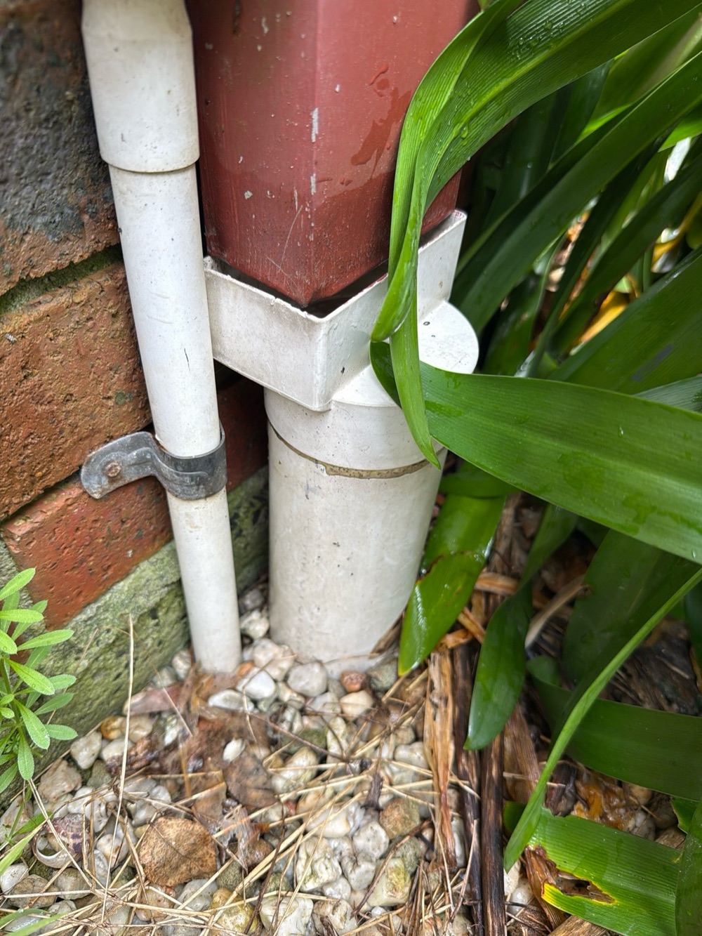 Further conducive conditions noted at the perimeter, found during a building and pest inspection in Berwick, 10 km from Clyde